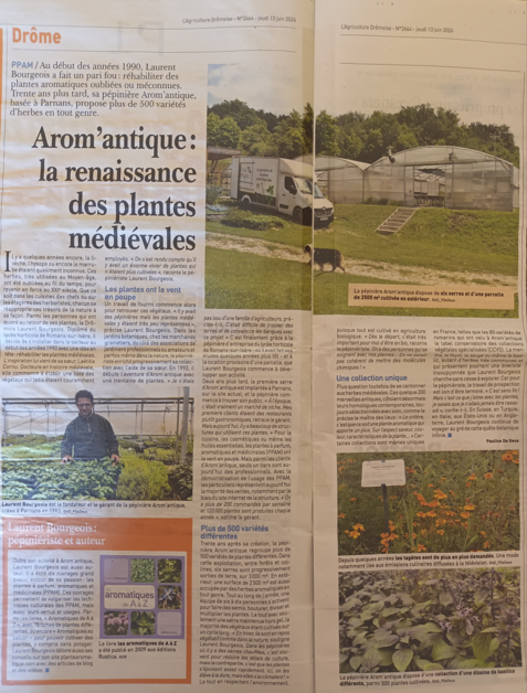 La renaissance des plantes médiévales