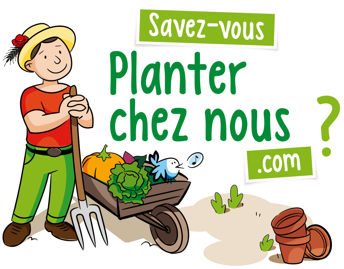 Savez-vous planter chez nous