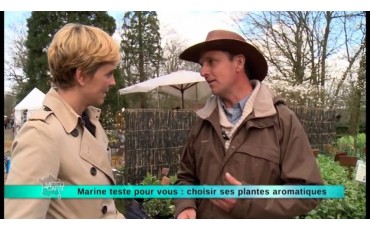 Bien choisir ses plantes aromatiques, France 3